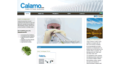 Desktop Screenshot of calamo.se